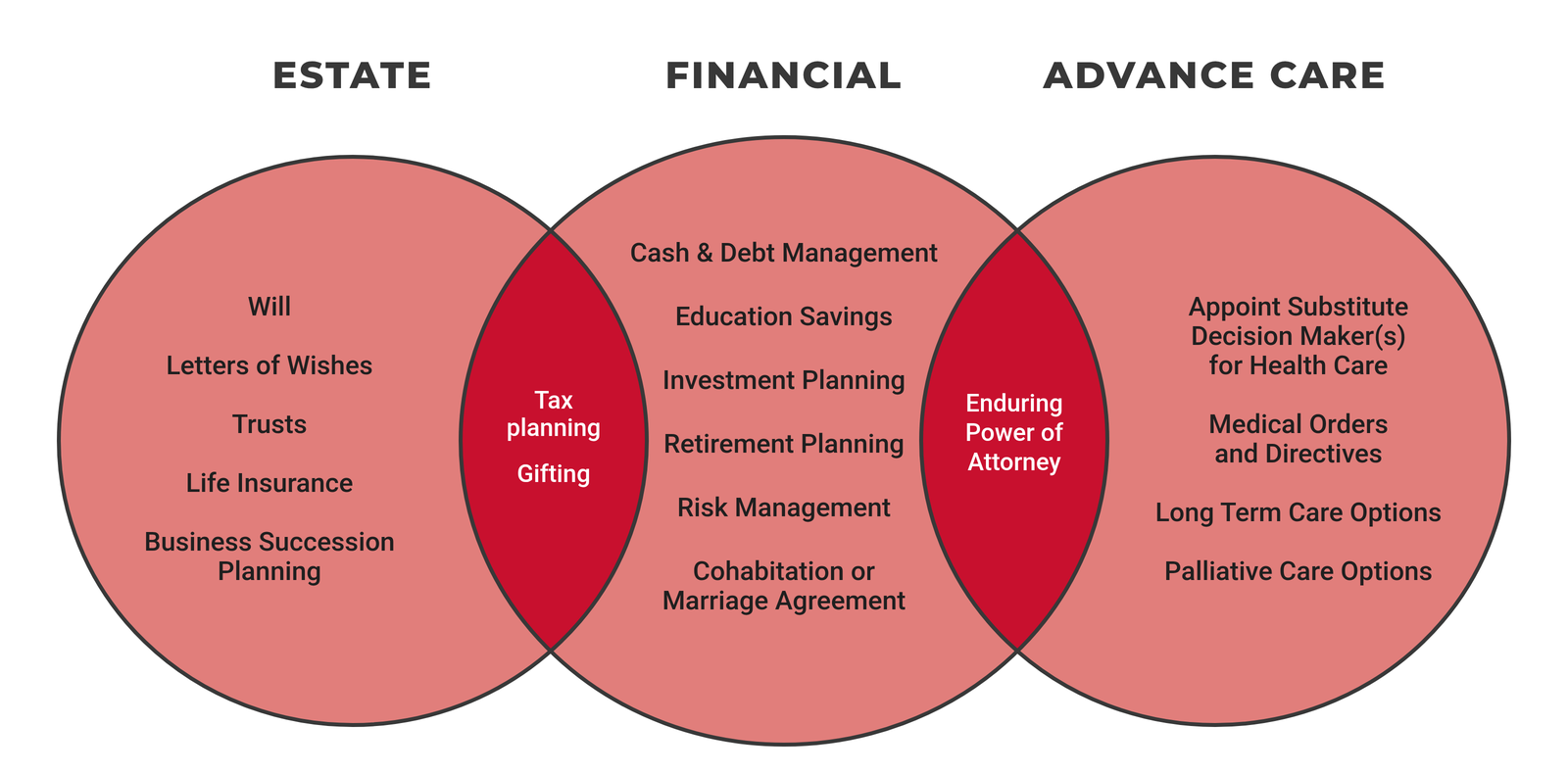 Life Planning Model: Estate, Financial and Advance Care Planning Life Planning Model: three overlapping circles for estate planning (Will, letters of wishes, trusts, life insurance, business succession planning), financial planning (cash and debt management, education savings, investment, retirement and risk planning, cohabitation or marriage agreement) and advance care planning (substitute decision makers for health care, medical orders and directives, long-term and palliative care options). Tax planning and gifting sit where estate and financial planning overlap; an enduring power of attorney sits where financial and advance care planning overlap.